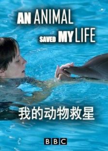 BBC：我的动物救星