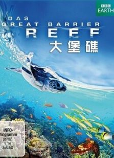 BBC：大堡礁