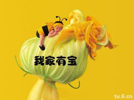 我家有宝