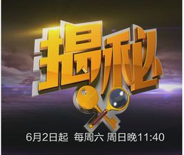 揭秘