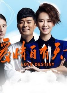 爱情自有天意TV版
