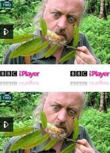 BBC：比尔&middot;贝利的丛林英雄