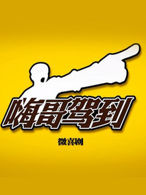 嗨哥驾到