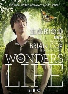 BBC：生命的奇迹