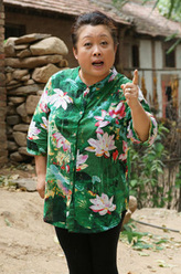 胖婶