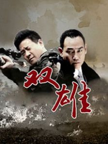 双雄DVD