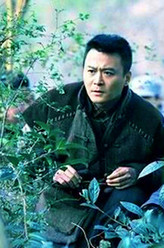 董子晨
