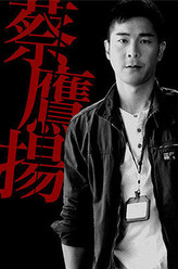 蔡鹰扬
