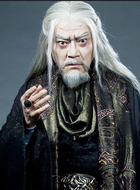 白发人