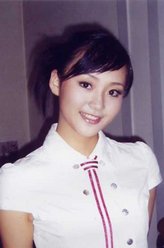 金燕子
