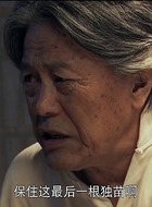 武爹