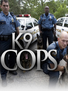 警犬总动员