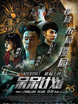 呆呆计划