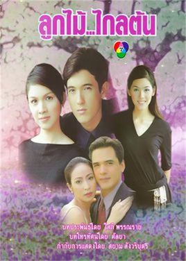劫缘
