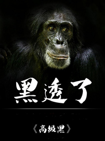 高级黑
