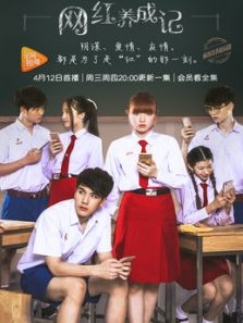 网红养成记（国语）