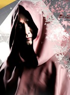 元老大师
