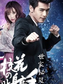 校花的贴身高手5