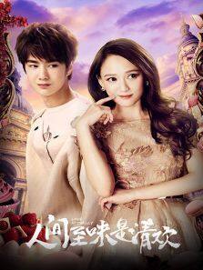 人间至味是清欢 DVD版