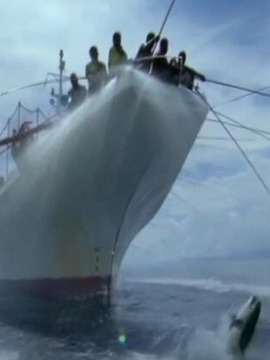太平洋捕鱼勇士