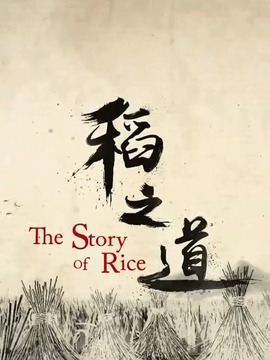 稻之道