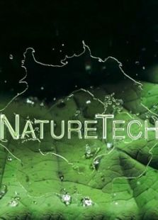 自然科学&mdash;工程师在大自然完美设计中寻找灵感