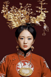应蝶