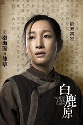 仙草