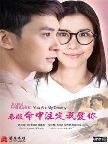 命中注定我爱你 泰语版