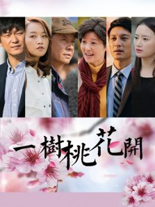 一树桃花开DVD