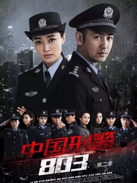 中国刑警803英雄本色