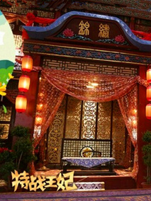 特战王妃