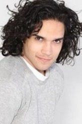 DCAsimFry