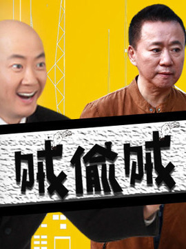 贼偷贼