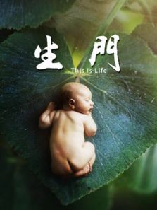 生门&middot;纪实剧电视版