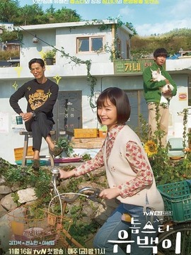 顶级明星柳白