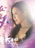 洪椰