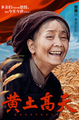 秦家奶奶