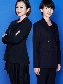 未解决之女警视厅文件搜查官第二季