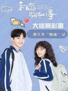 初恋那件小事&middot;梁又年倒追记