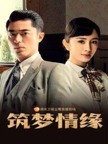 筑梦情缘 越南语版