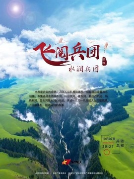 飞阅兵团
