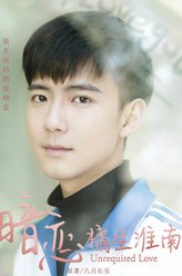 盛淮南