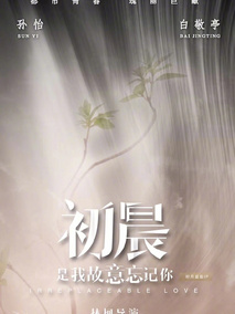 初晨，是我故意忘记你