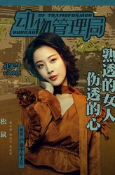 刘小红
