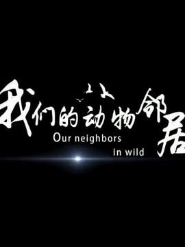 我们的动物邻居
