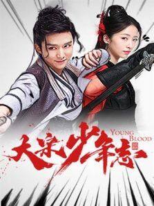 大宋少年志 DVD版