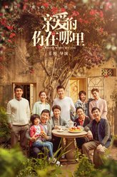 毛毛爸