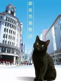 银座黑猫物语