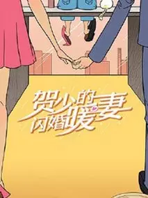 贺少的闪婚暖妻